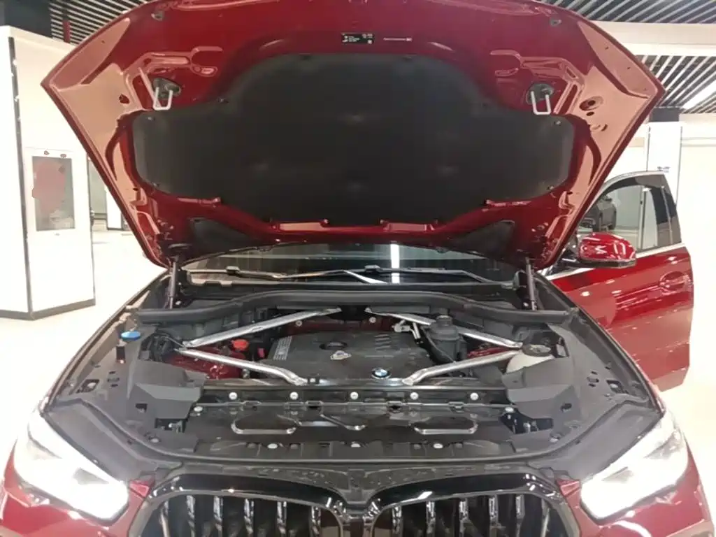BMW X6 — миниатюра 20
