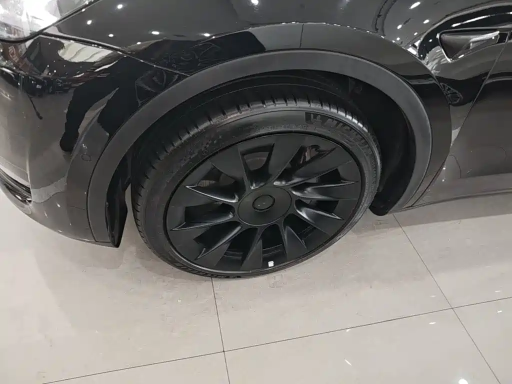 Tesla Model Y — миниатюра 23