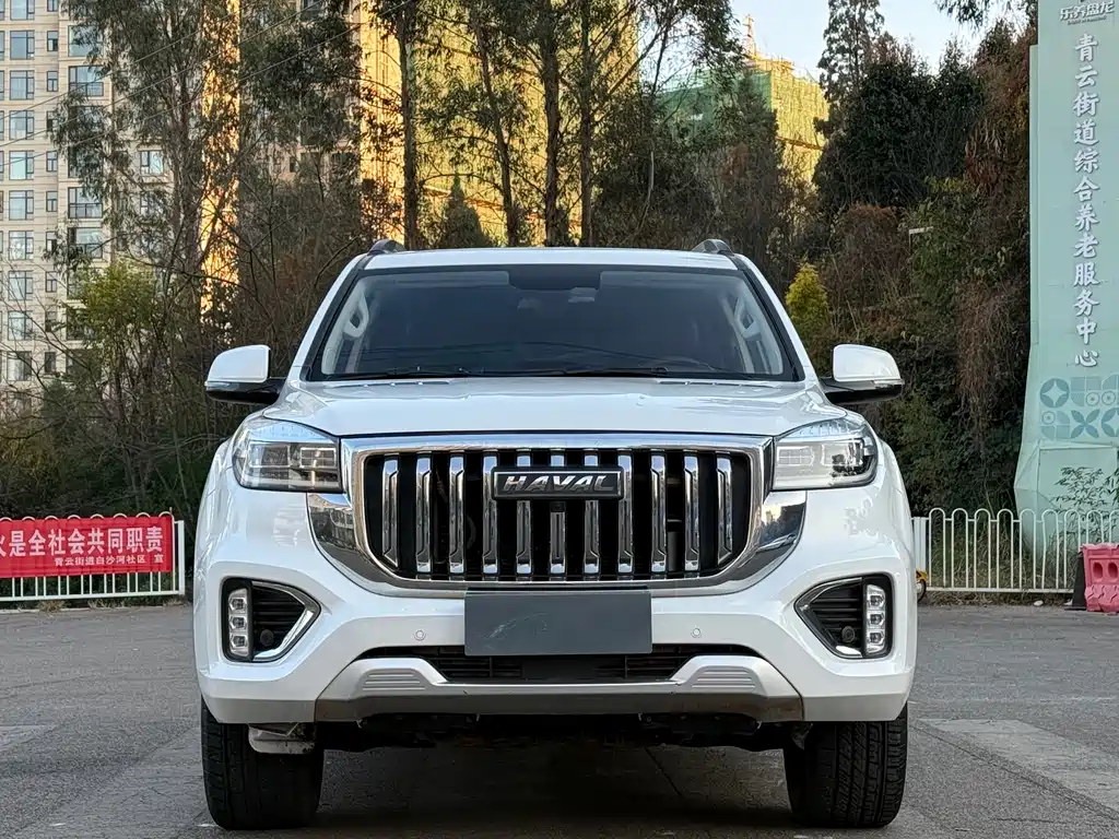 HAVAL H9