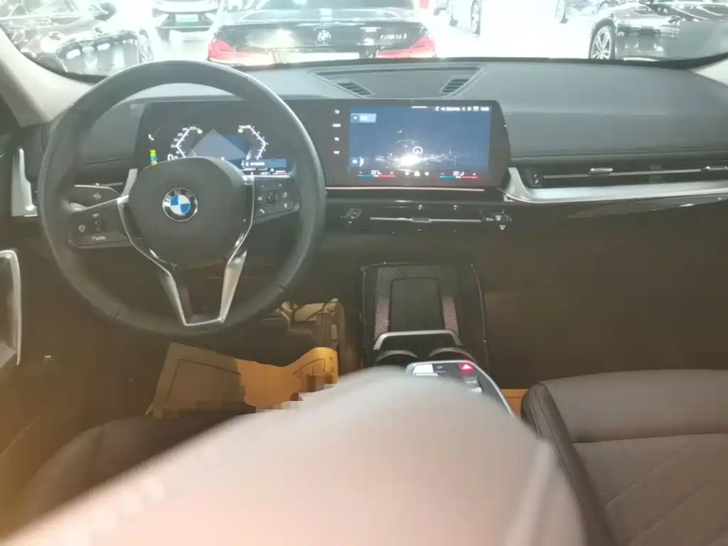 BMW X1 — миниатюра 10