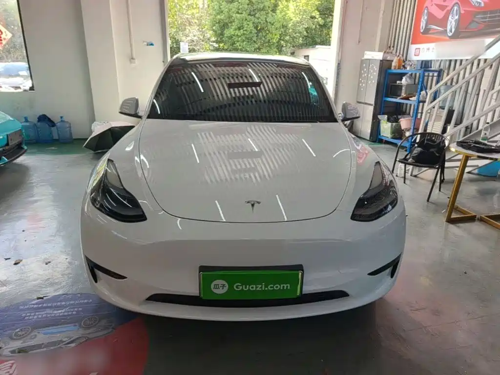 Tesla Model Y — миниатюра 3
