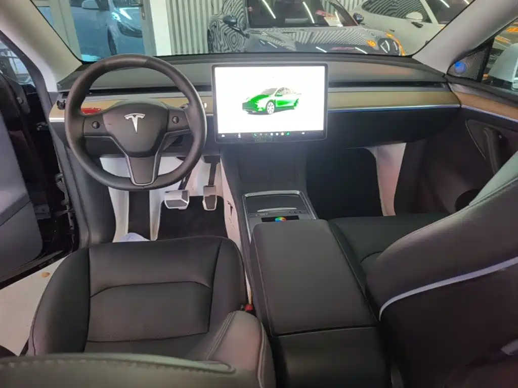 Tesla Model Y — миниатюра 10