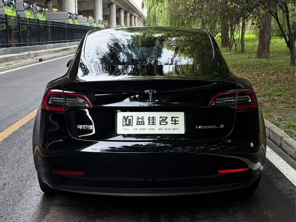 Tesla Model 3 — миниатюра 5