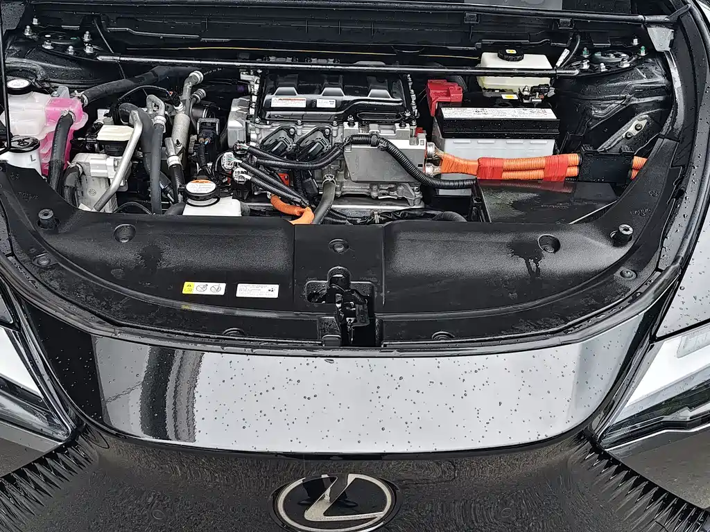 Lexus RZ — миниатюра 15