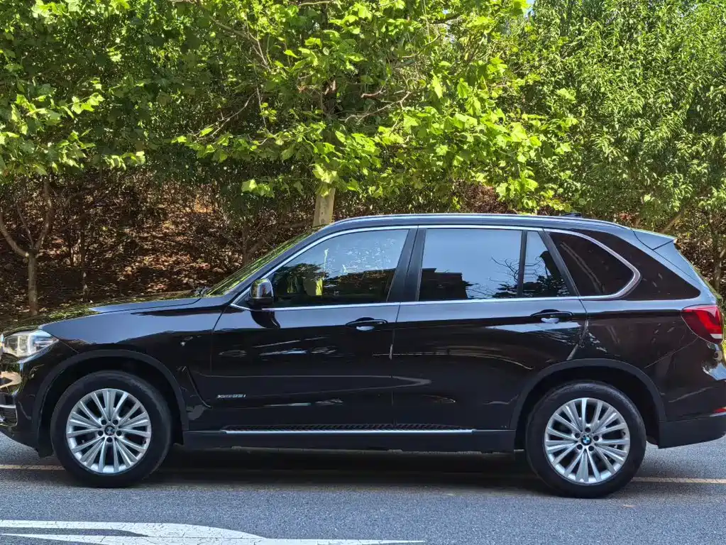 BMW X5 (Import) — миниатюра 3