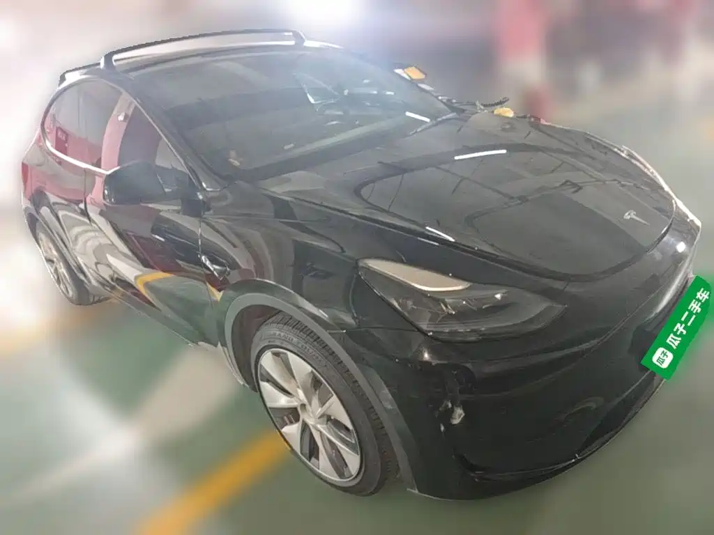 Tesla Model Y — миниатюра 24