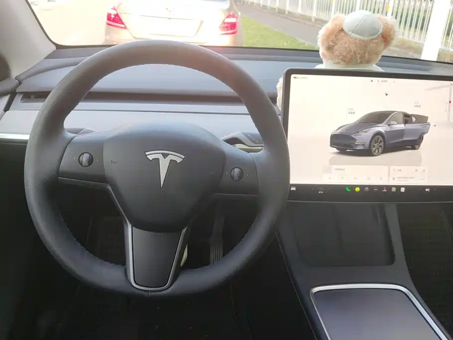 Tesla Model Y — миниатюра 16
