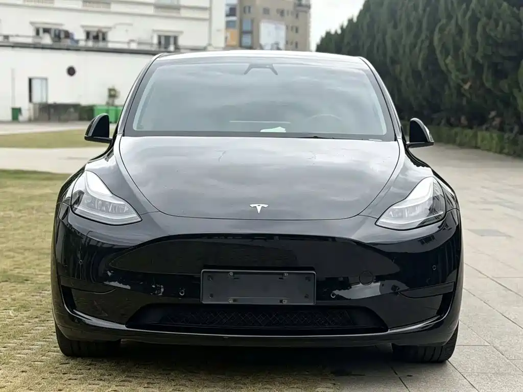 Tesla Model Y — миниатюра 3