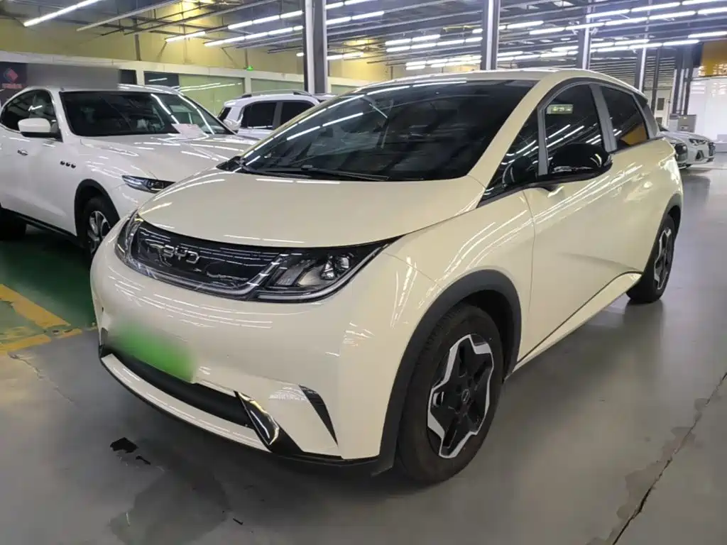 BYD Dolphin — миниатюра 2