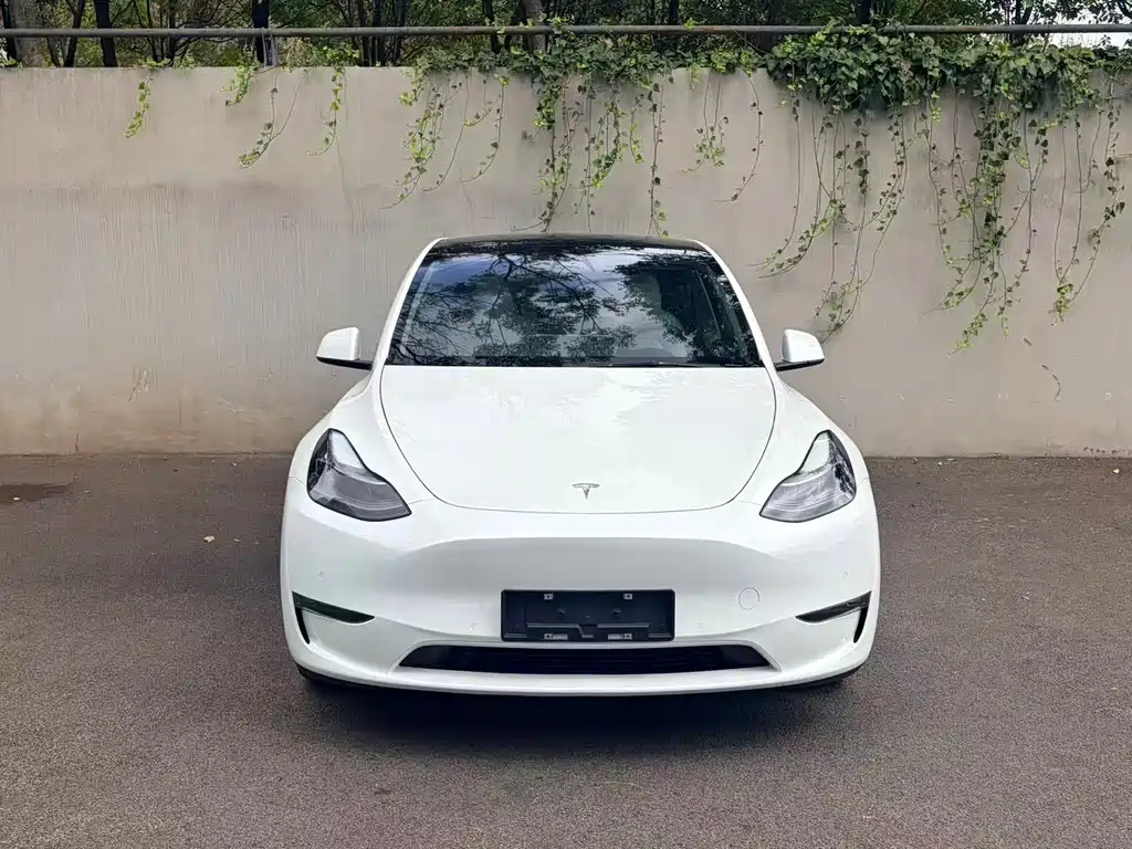 Tesla Model Y — миниатюра 5