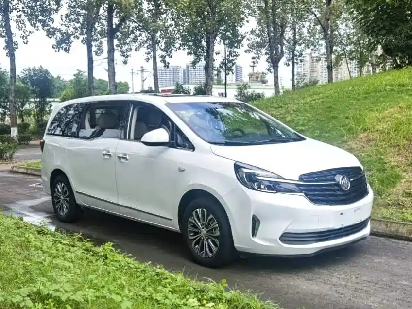 Buick GL8 — миниатюра 3