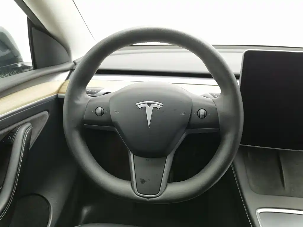 Tesla Model Y — миниатюра 11