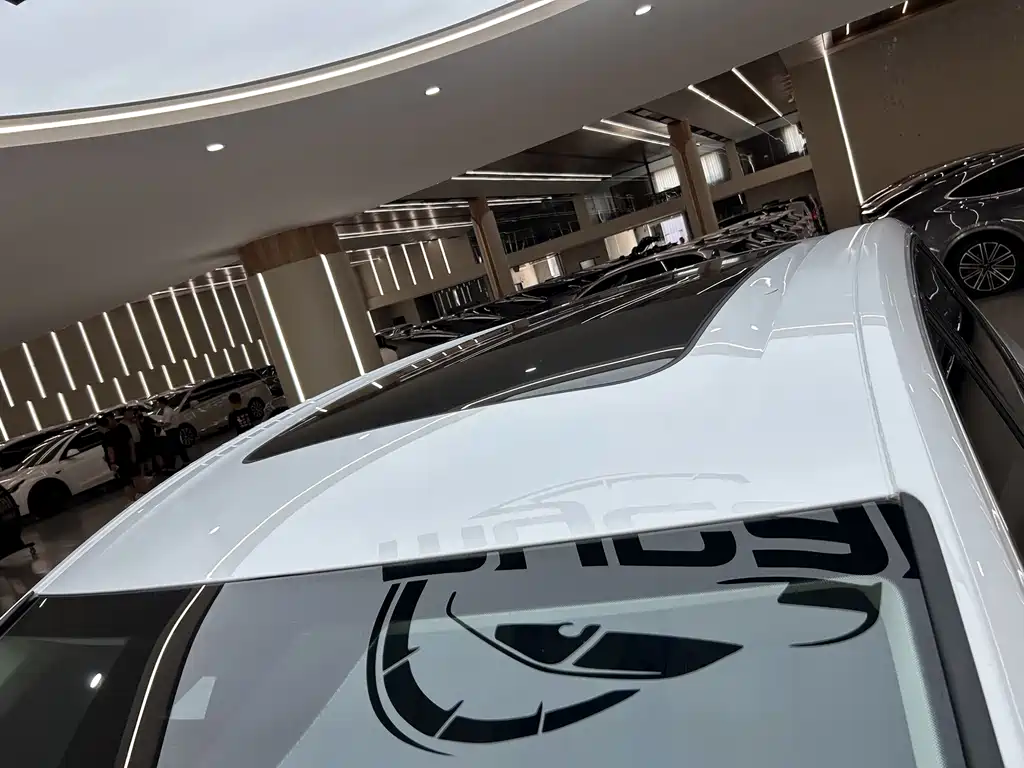 Volkswagen Viloran — миниатюра 44
