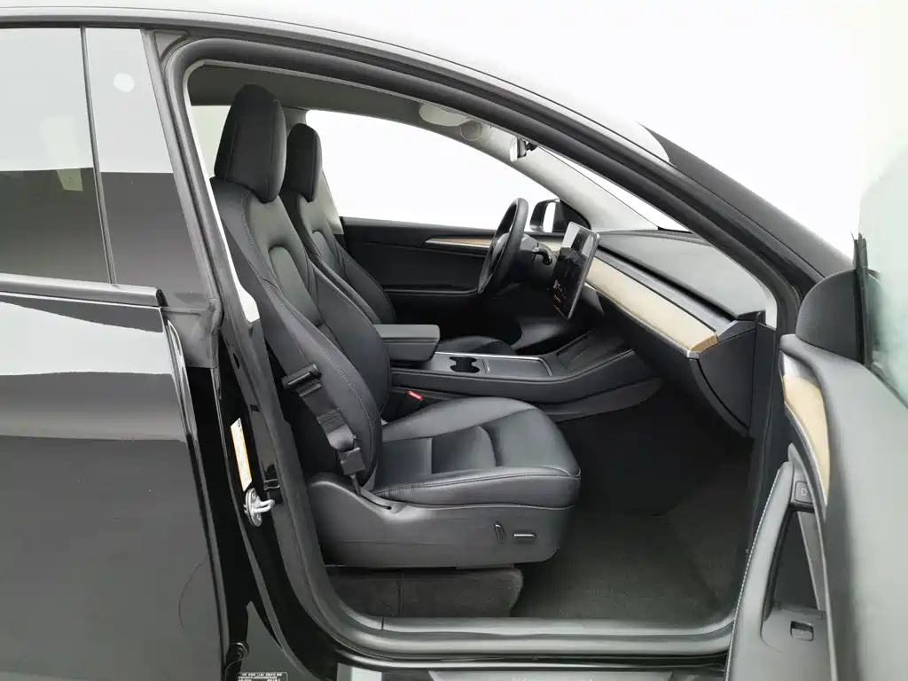 Tesla Model Y — миниатюра 23