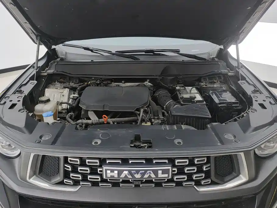 Haval Haval Big Dog PLUS — миниатюра 10