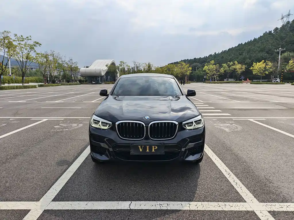 BMW X4 — миниатюра 2