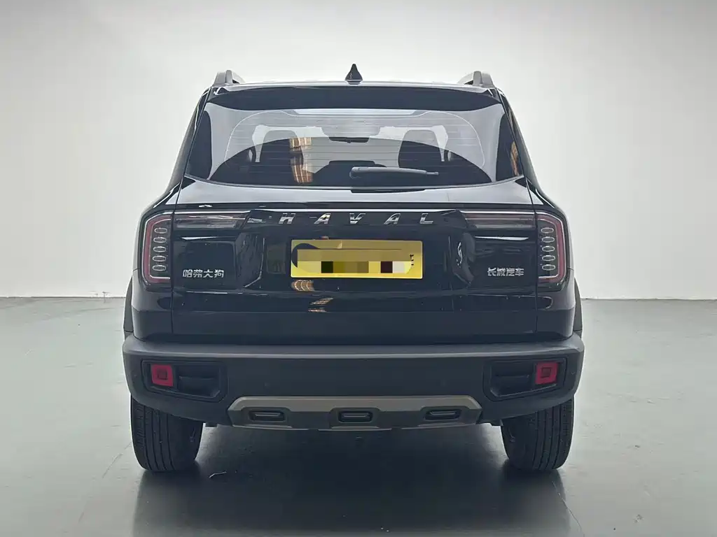 Haval Big Dog — миниатюра 8