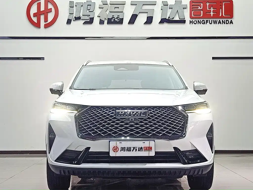 Haval H6 — миниатюра 2