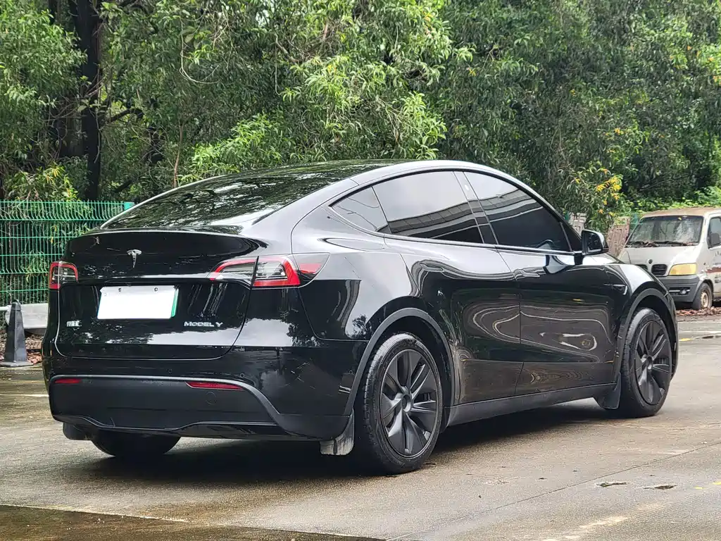 Tesla Model Y — миниатюра 13