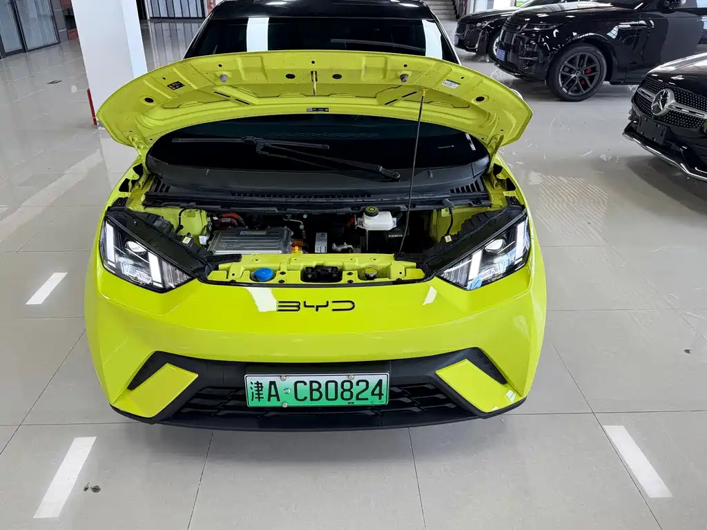 BYD Seagull — миниатюра 13