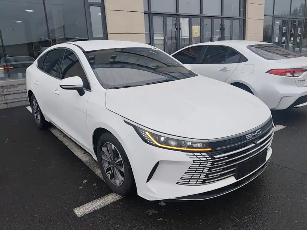 BYD Destroyer 05 2024 DM-i 55KM Luxury