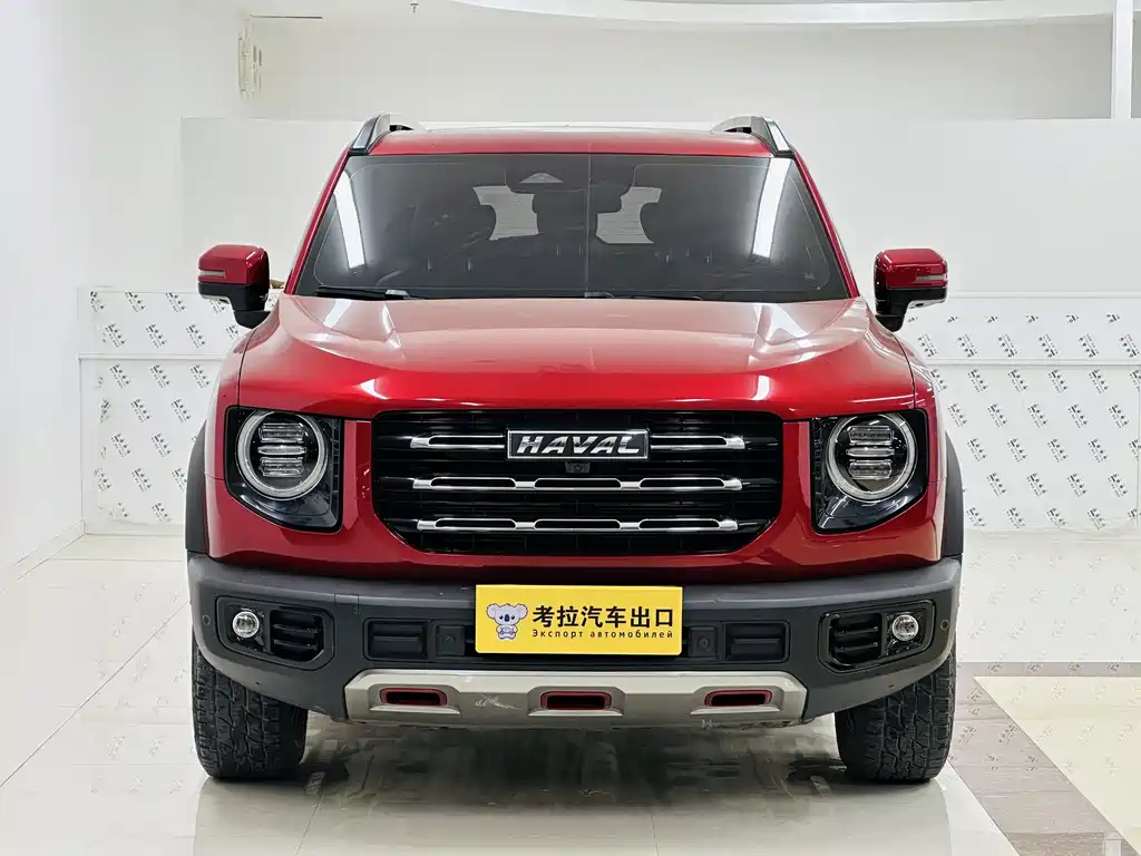 HAVAL BIG DOG