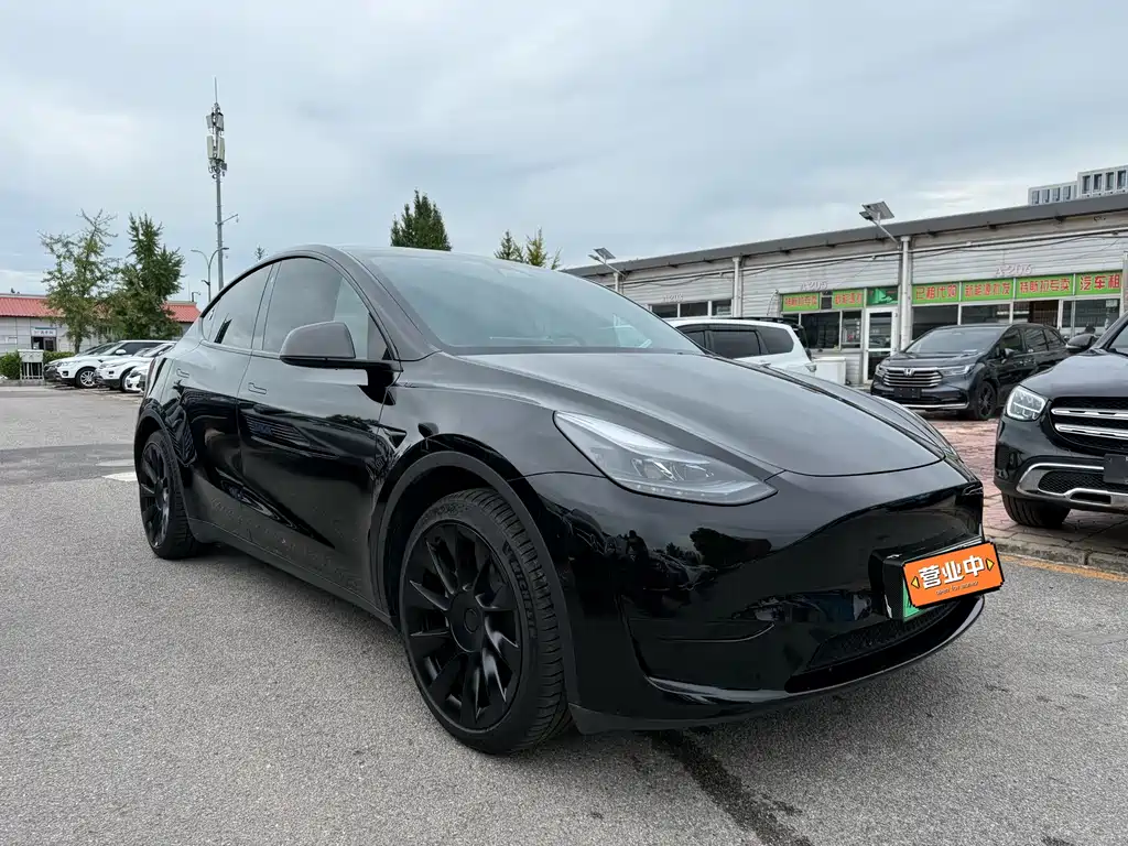 Tesla Model Y — миниатюра 3