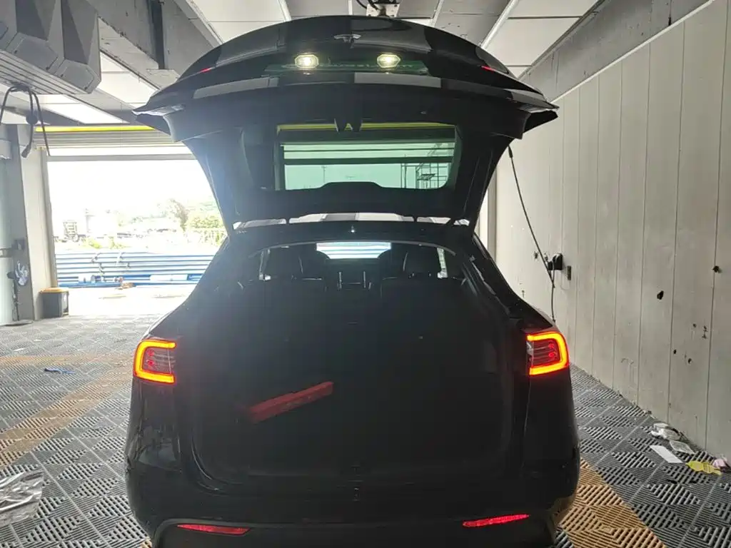 Tesla Model Y — миниатюра 19