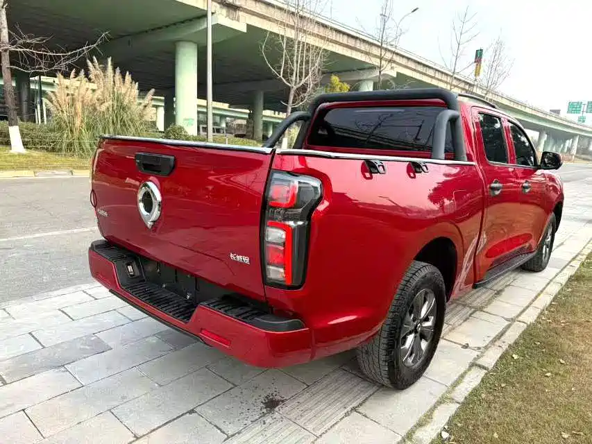 Great Wall Pao — миниатюра 7