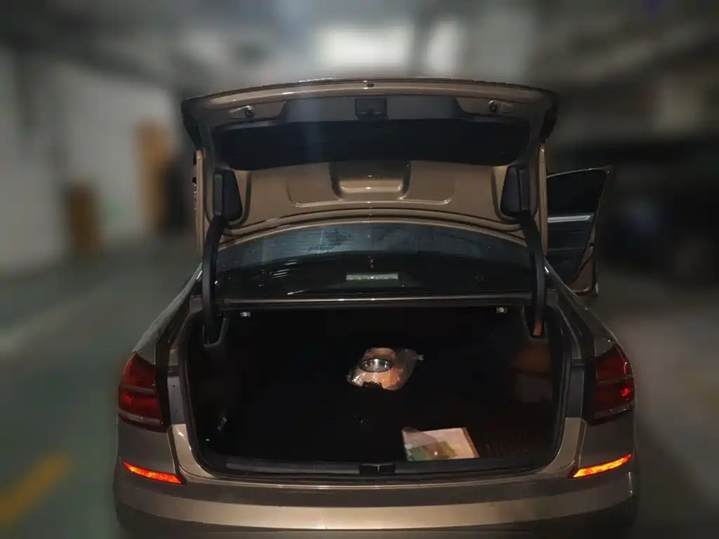 Volkswagen Passat — миниатюра 10