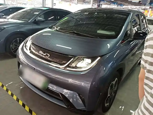 2024 BYD Dolphin