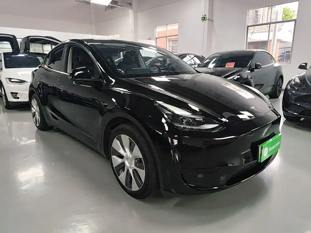 Tesla Model Y — миниатюра 4