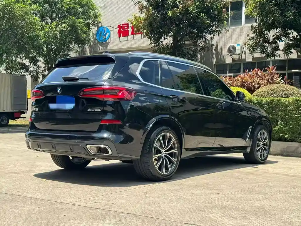 BMW X5 — миниатюра 8