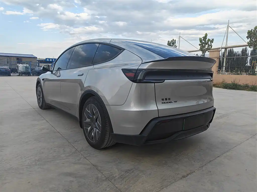 Tesla Model Y L — миниатюра 7