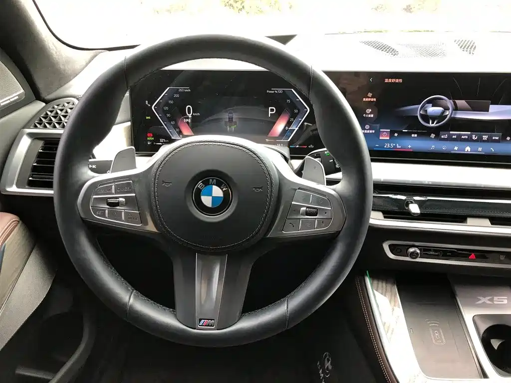 BMW X5 — миниатюра 9