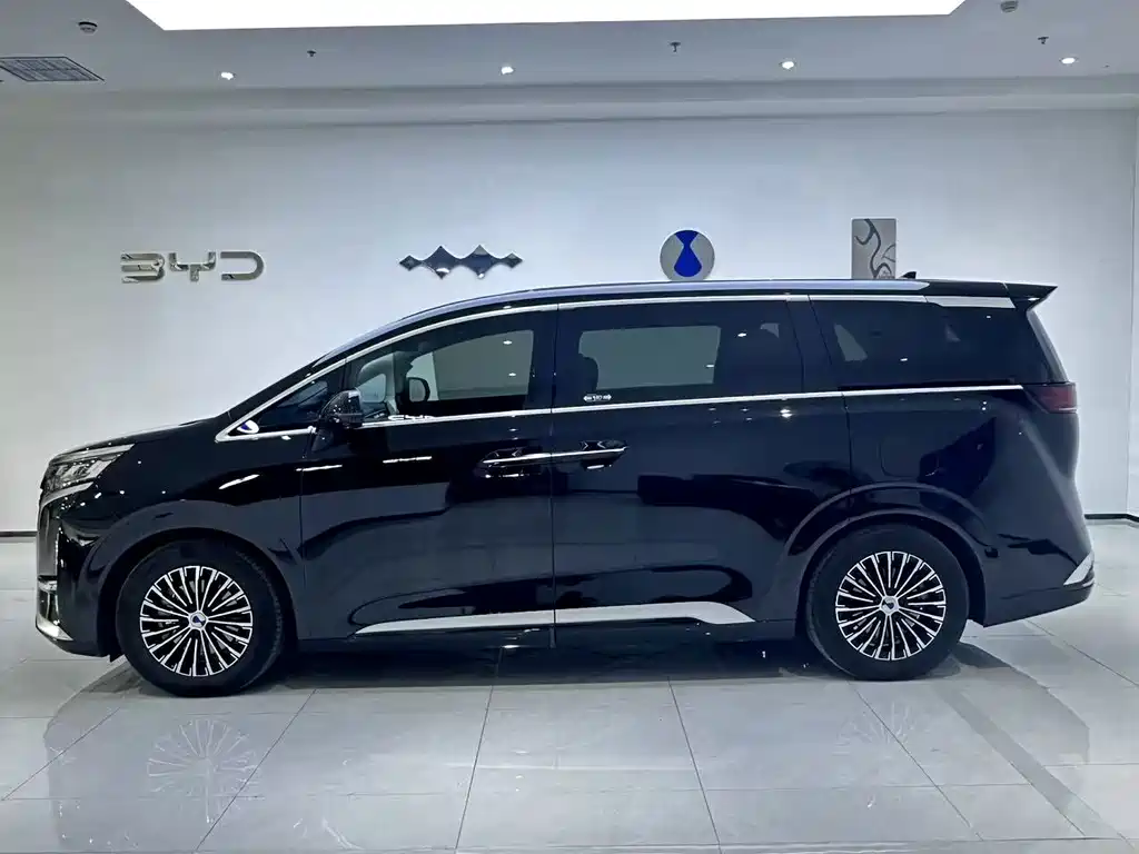 Denza Denza D9 — миниатюра 3