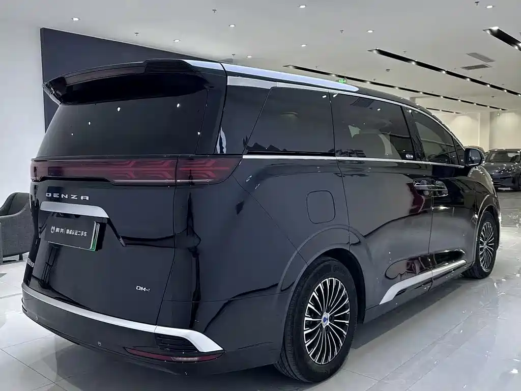 Denza Denza D9 — миниатюра 10