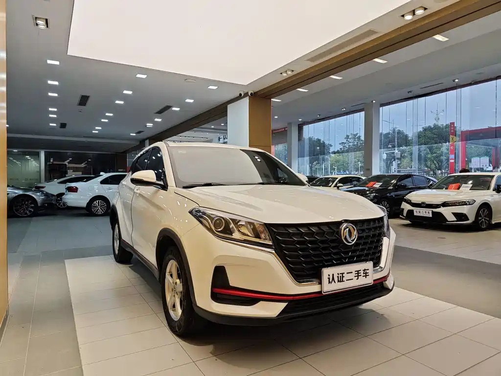 DONGFENG SCENERY 500