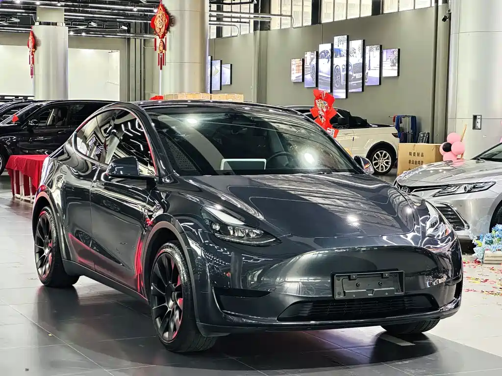 Tesla Model Y — миниатюра 3