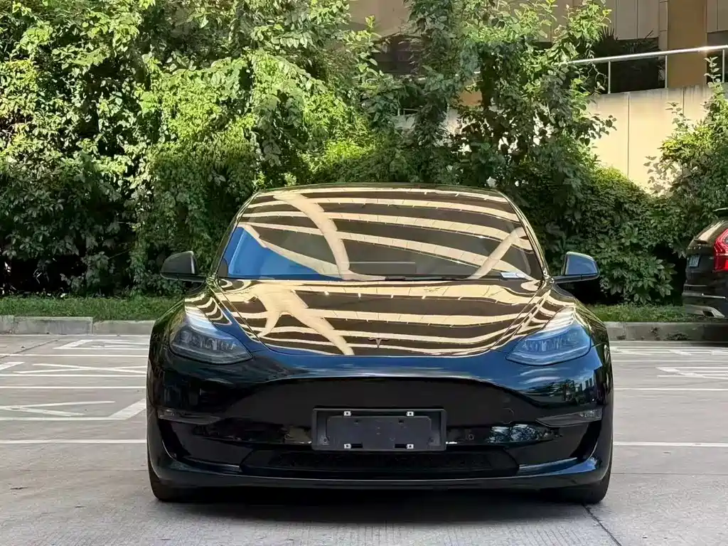 Tesla Model 3 — миниатюра 2