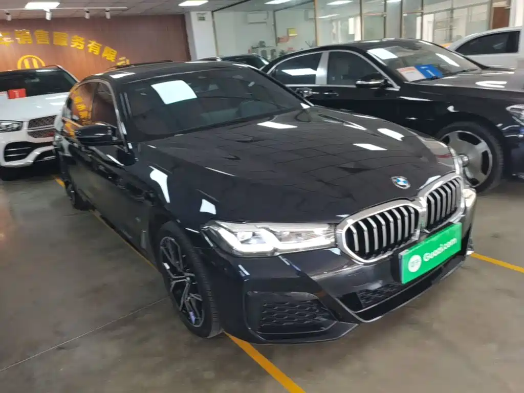 BMW 5 Series — миниатюра 4