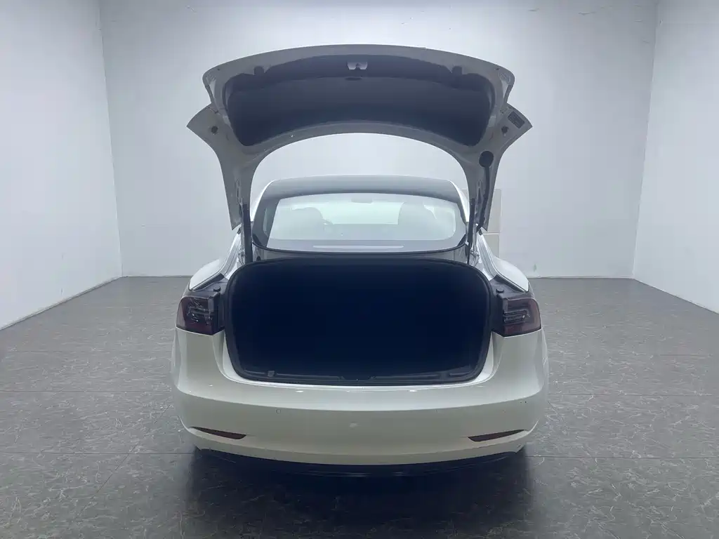 Tesla Model 3 — миниатюра 5