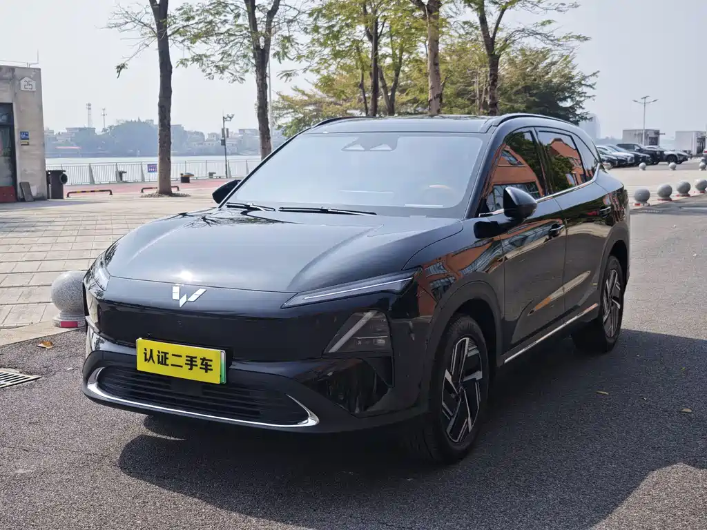 WULING WULING XINGGUANG S