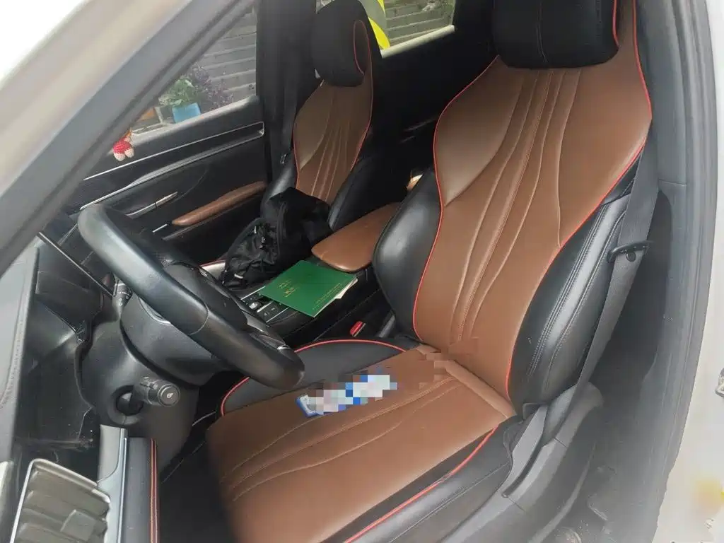 BYD PLUS — миниатюра 11