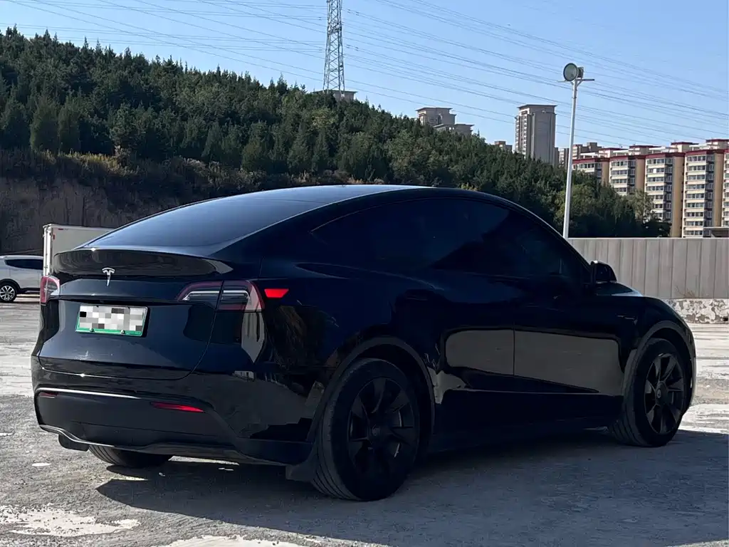 Tesla Model Y — миниатюра 4
