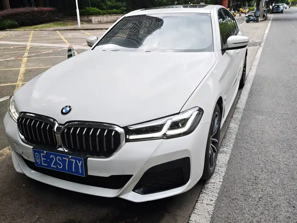 BMW 5 Series (Import) — миниатюра 2