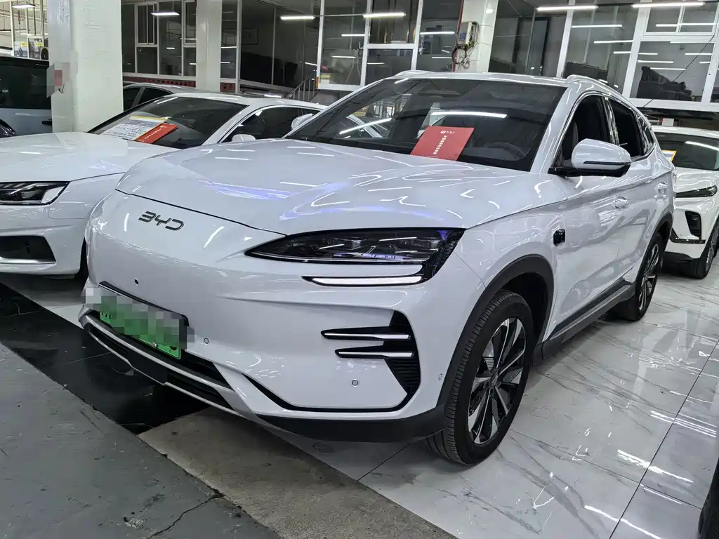 BYD PLUS New Energy