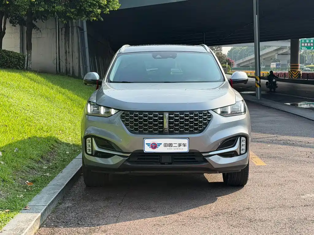 Wey Wey VV6 — миниатюра 2