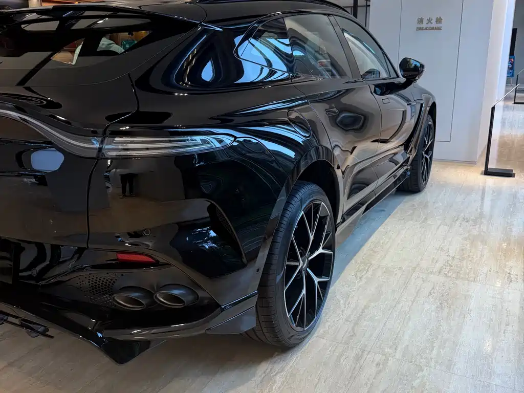 Aston Martin DBX — миниатюра 15