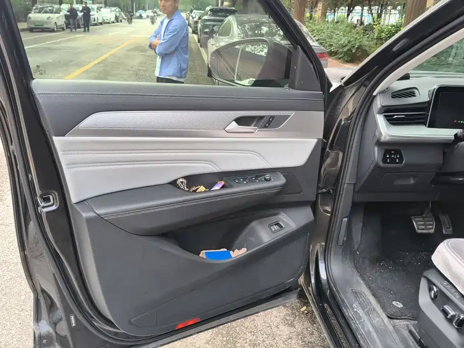 Volkswagen Tavendor — миниатюра 7